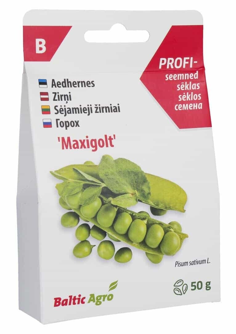 Hernes 'Maxigolt