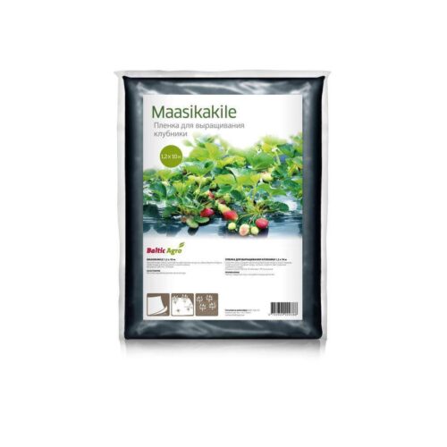 Maasikakile