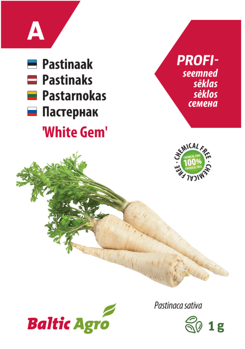 Pastinaak,Pastinaak White Gem