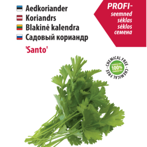 A mixture of leafy greens