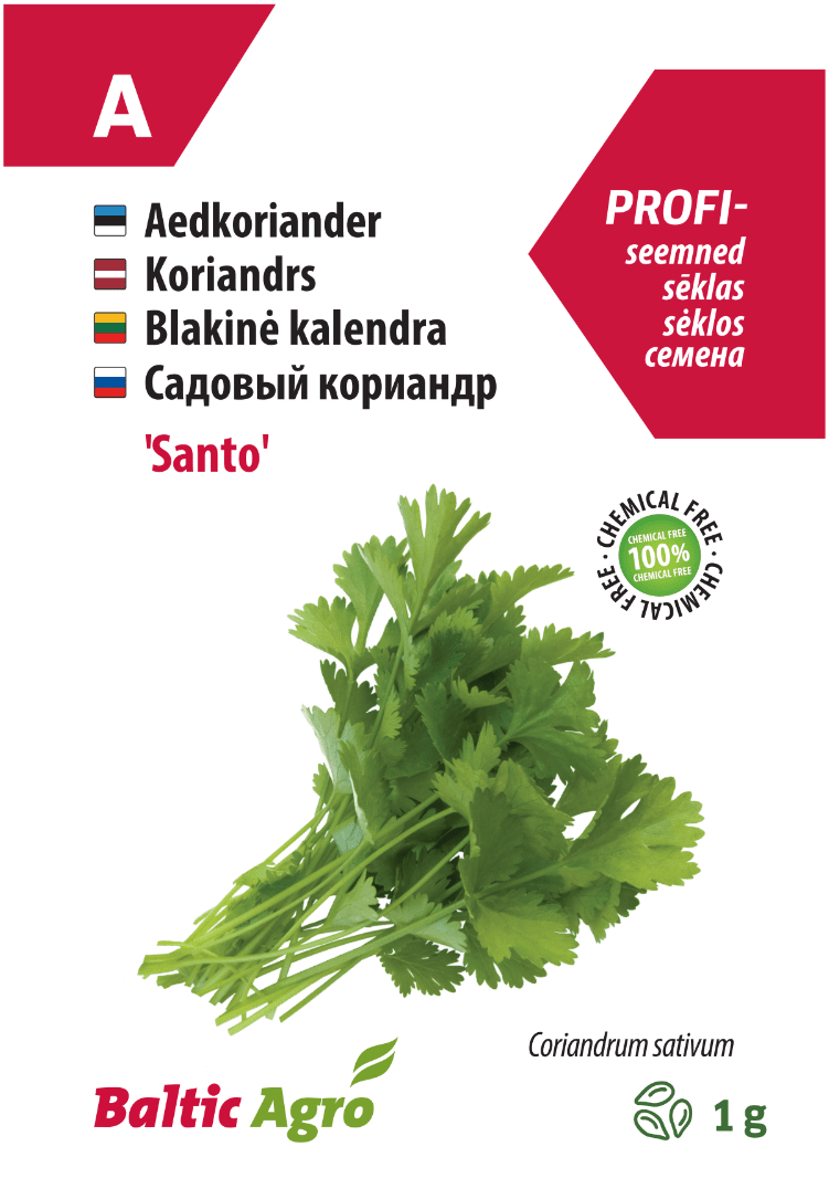 Coriander Santo