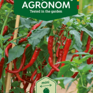 MAGUS PAPRIKA YALA & RELA