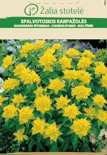 PIIMALILL KULDNE