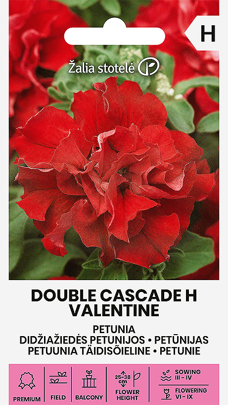 Petuunia DOUBLE CASCADE H VALENTINE