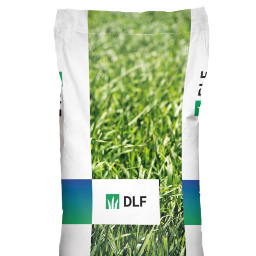 Упаковка семян газонной травы DLF для тенистых мест Park.