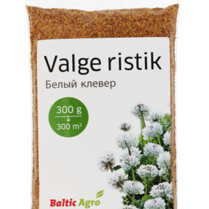 Valkoapila