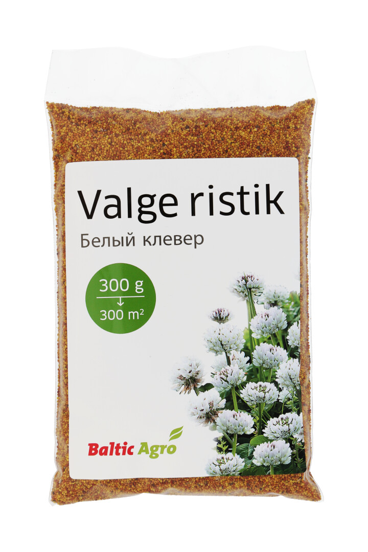 Valkoapila