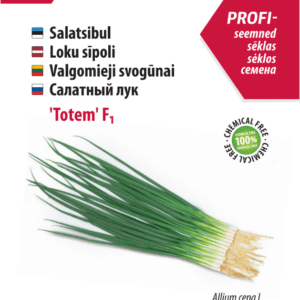 Salaattisipuli Totem