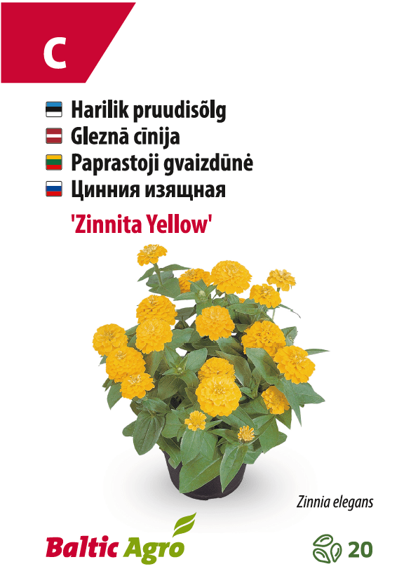 Bridal nod 'Zinnita Yellow'