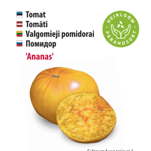 Tomato 'Pineapple'