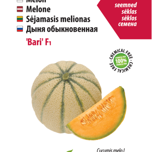Дыня Бари