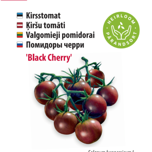 Cherry tomato 'Black Cherry'