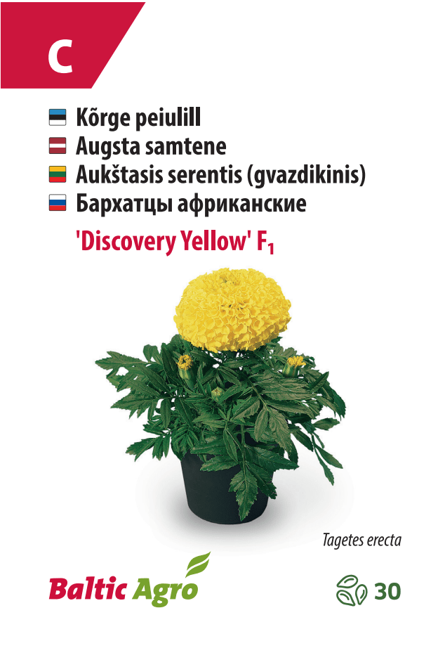 Peiulill ‘Discovery Yellow’