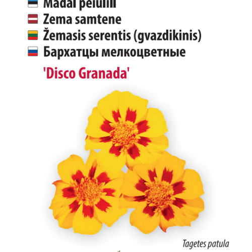 Peiulill ‘Disco Granada’
