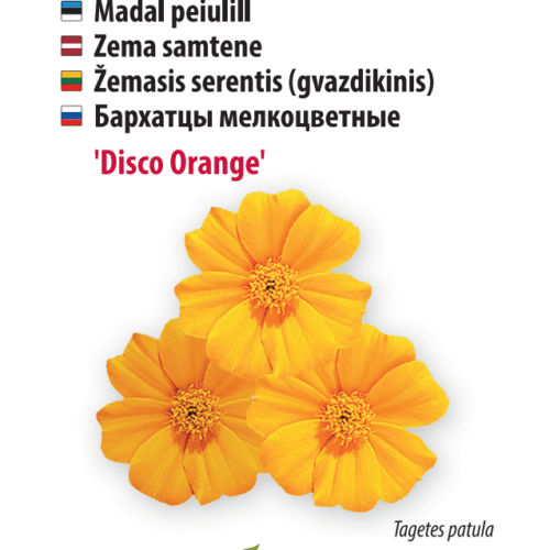 Peiulill ‘Disco Orange’