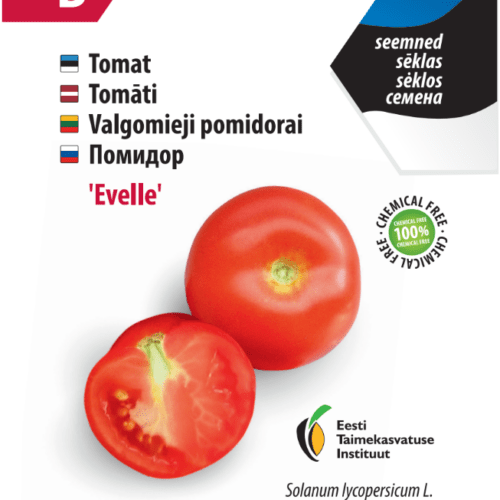Tomato 'Evelle'