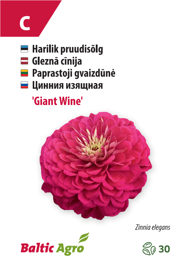 Bridal nod 'Giant Wine'