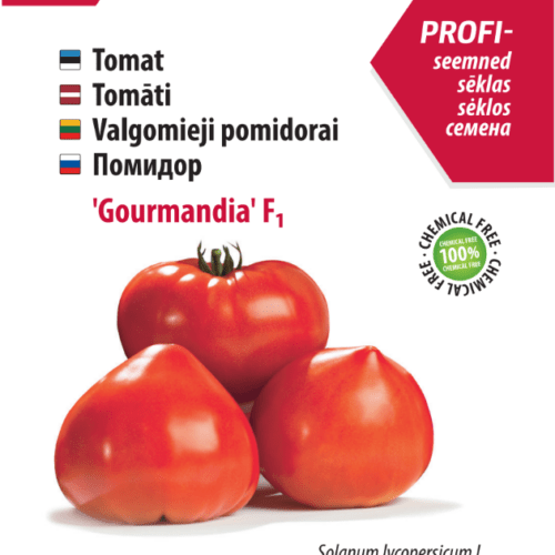 Tomato 'Gourmandia' F1