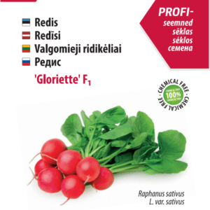 Redis ‘Gloriette’ F1