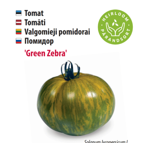 Tomato 'Green Zebra'