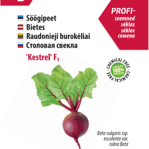 Beetroot 'Kestrel' F1