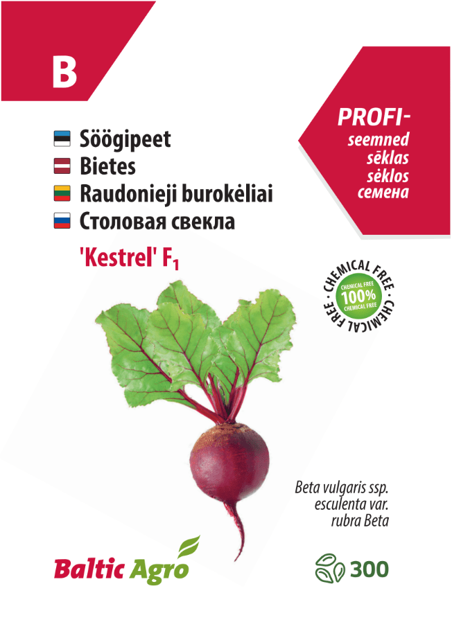 Beetroot 'Kestrel' F1