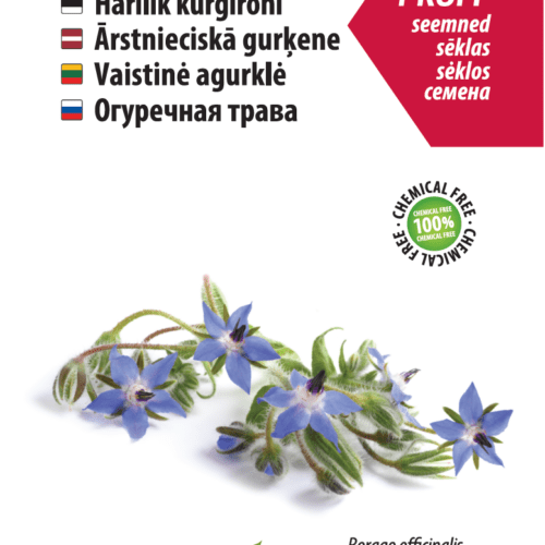 Бурачник лекарственный