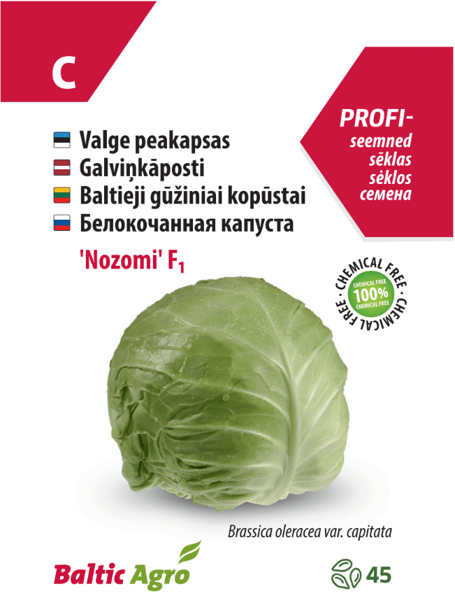 Head cabbage 'Nozomi'
