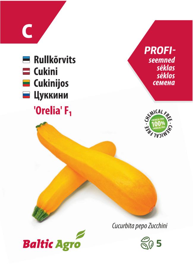 Roller squash 'Orelia' F1