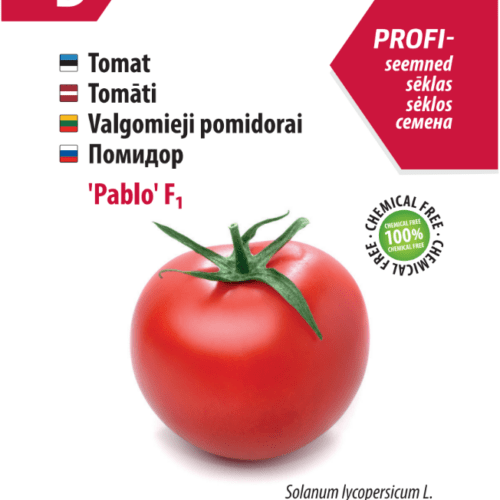 Tomato 'Pablo' F1