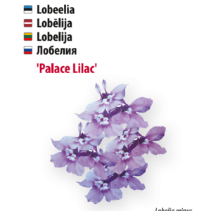 Lillemuru 1 kg