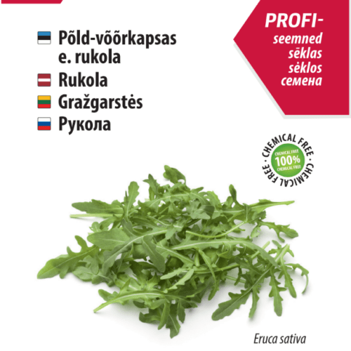 Rukola
