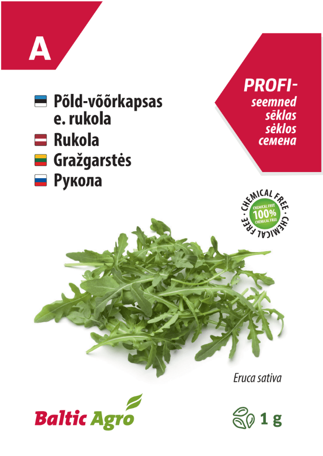Rukola