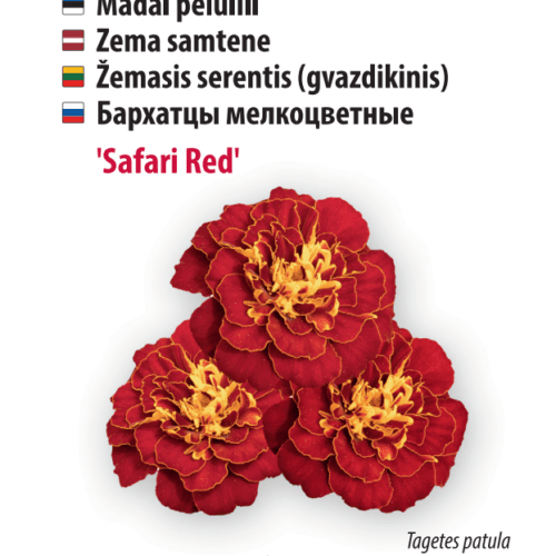 Peiulill ‘Safari Red’