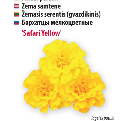 Peiulill ‘Safari Yellow’