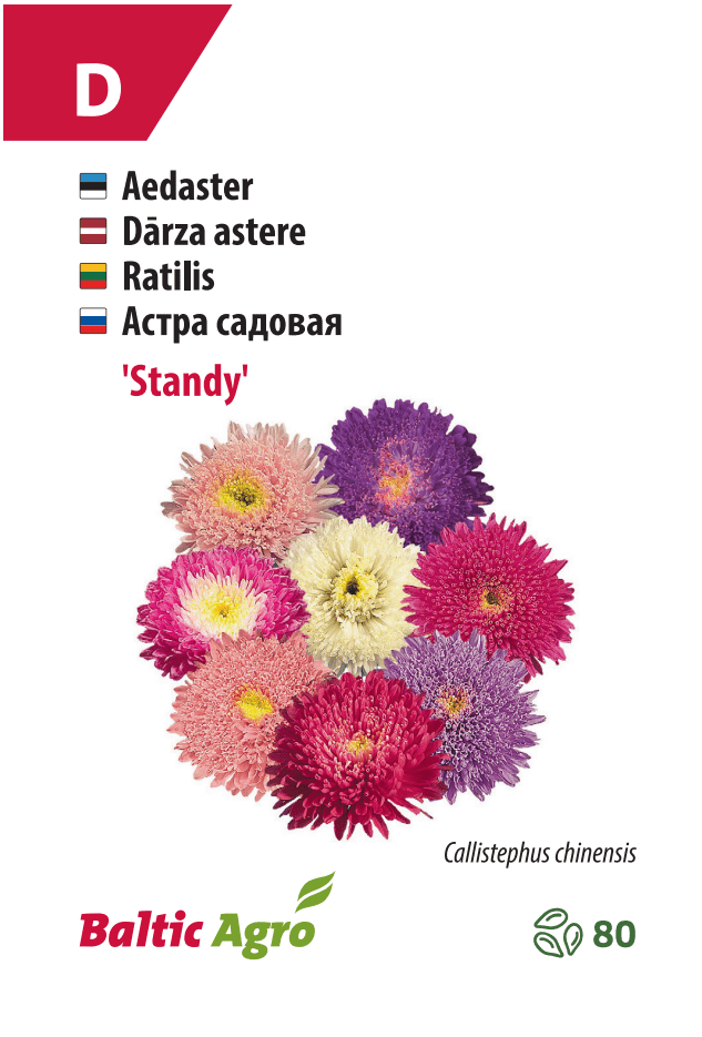 Aster Standy