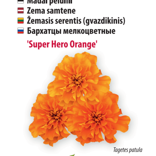 Super Hero Orange saialille seemned Baltic Agro, 80 tk. Pakend sisaldab kvaliteetseid seemneid, ideaalne aedade kaunistamiseks.