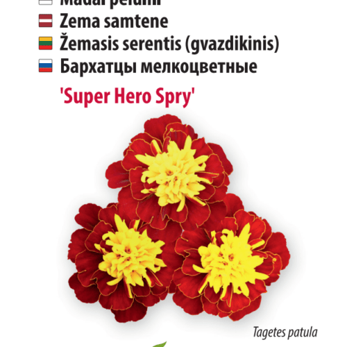 Peiulill ‘Super Hero Spry’