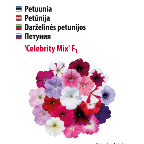 Petunia 'Celebrity Regular Mix'