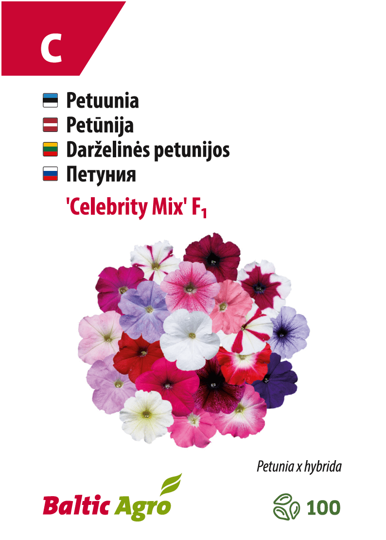 Petunia 'Celebrity Regular Mix'