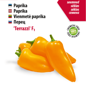 Семена желтого перца, выращенные без применения химикатов, Baltic Agro.