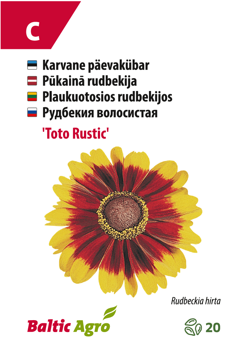 Päivänhatut 'Toto Rustic'