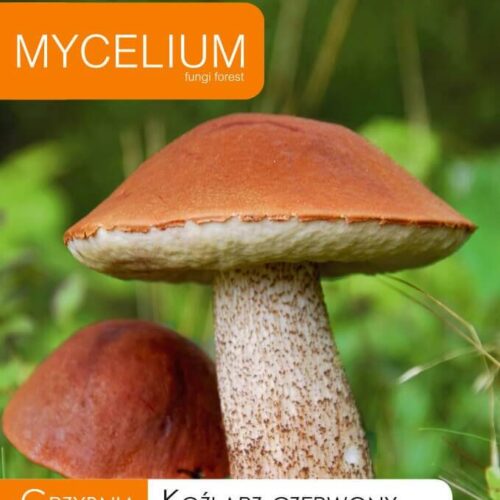 Haavapuraviku mütseel 10 g