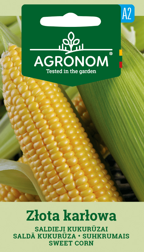 Maissintähkät 'Agronom' -pakkauksessa.