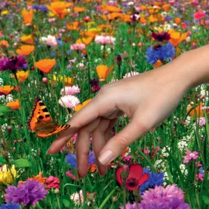 Flower seed mix Lillenite 1kg