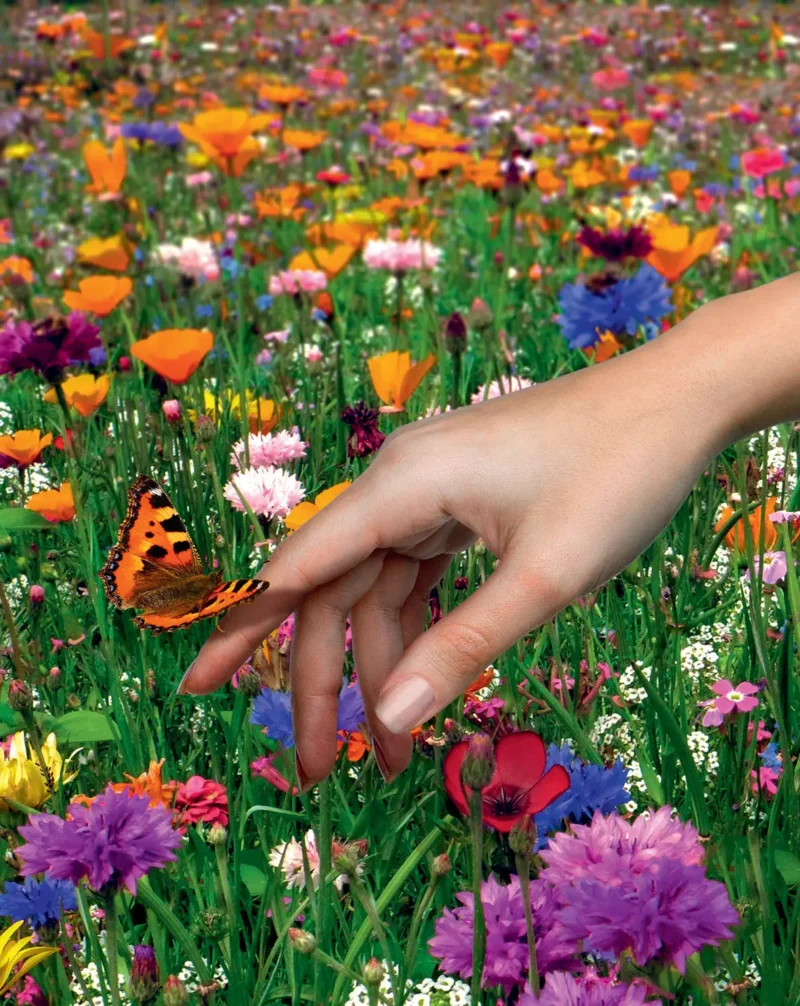 Flower seed mix Lillenite 1kg