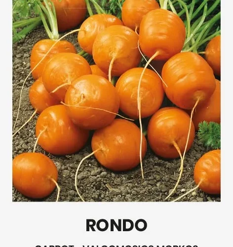 AEDPORGAND RONDO