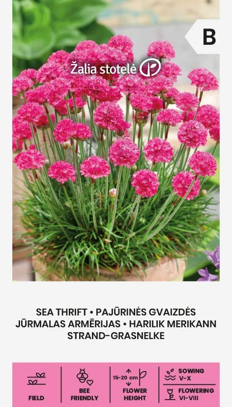 Армерия