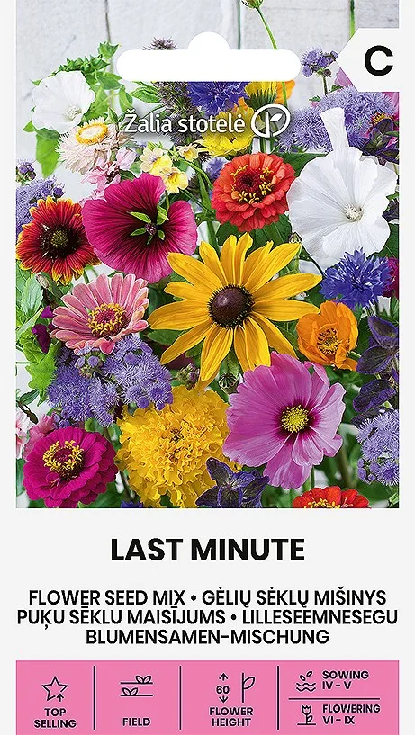 FLOWER SEED MIX LAST MINUTE