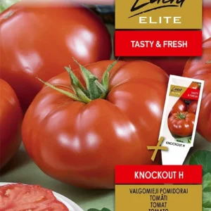 TOMATO KNOCKOUT H